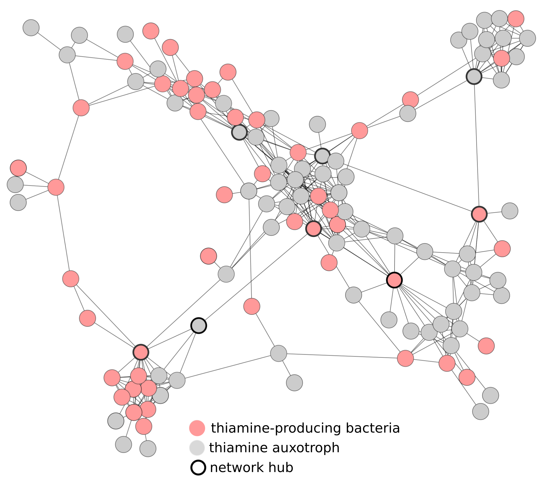 Combining metagenomics and network analyses identifies microbial interactions and their mechanism