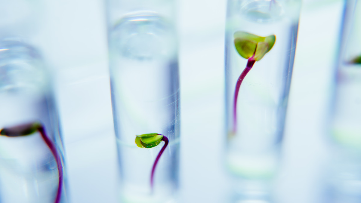 Earth sciences - April/May Collection launches