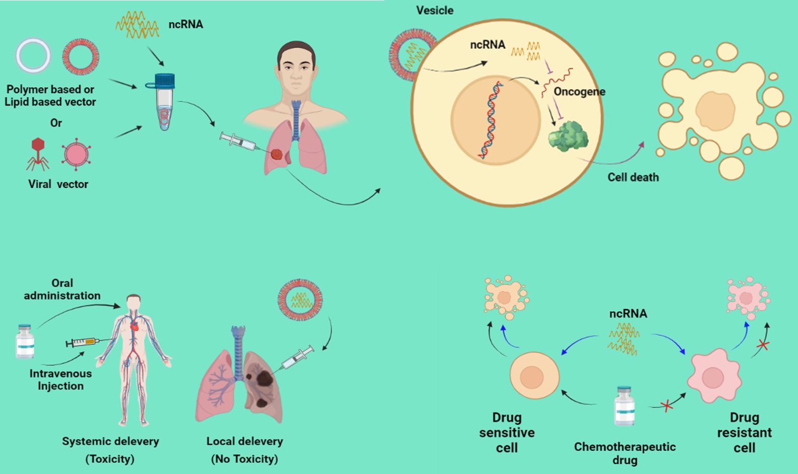 piRNA-39980 improves the sensitivity of doxorubicin, a chemotherapeutic drug, through inhibition of intracellular drug metabolism and DNA repair in a mesenchymal tumor