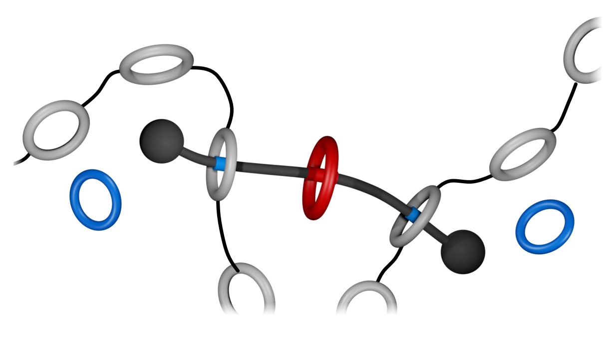 Precooked Rotaxanes for Materials Made-to-Order