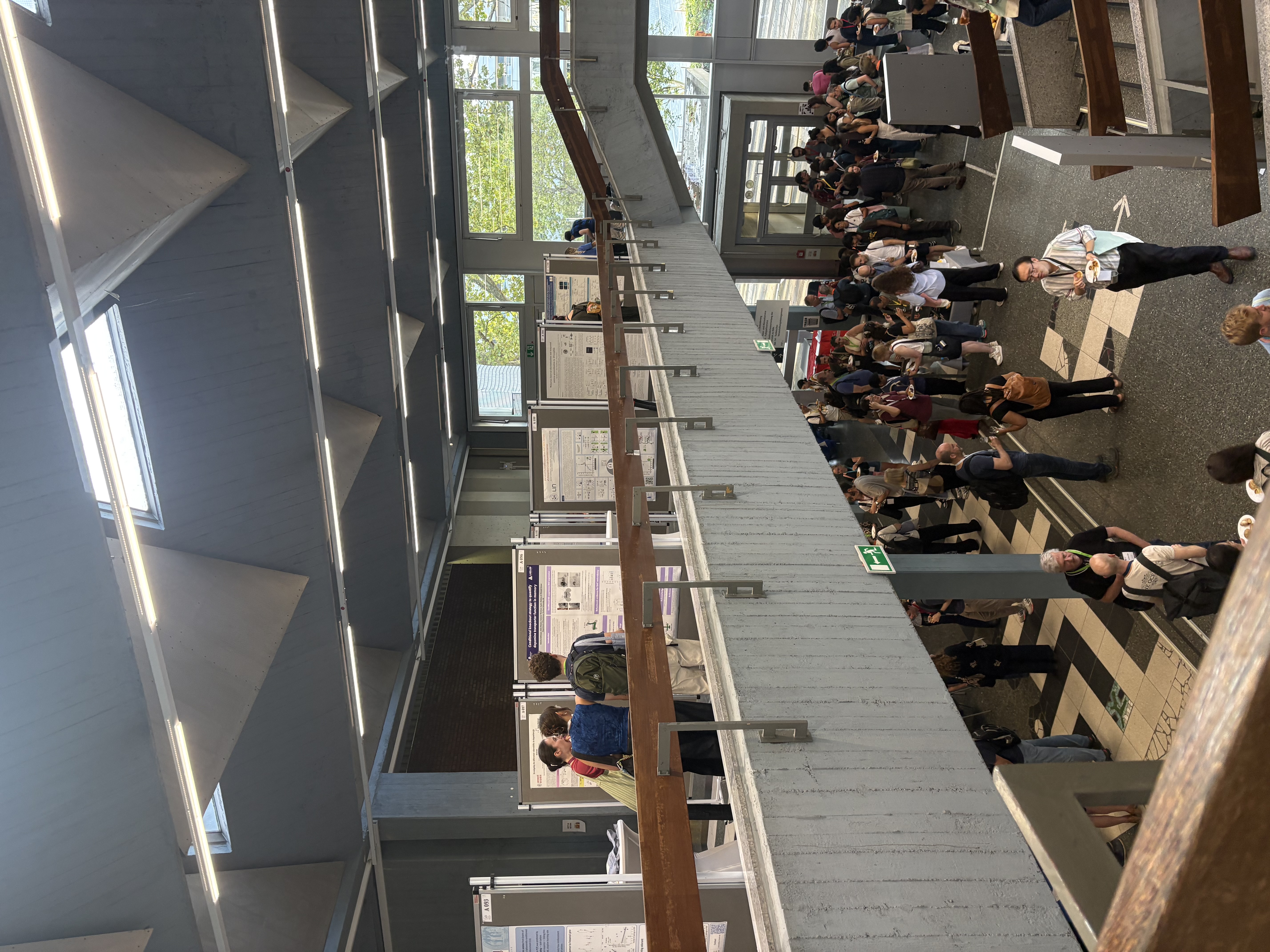 Reflection: The Neurofly 2026 Conference