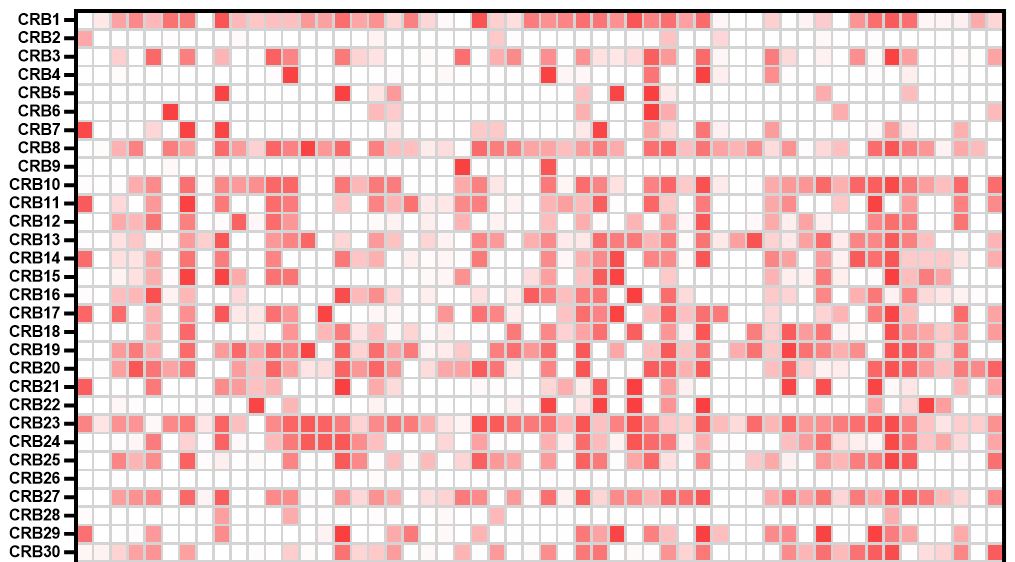 A blood test for Triple Negative Breast Cancer