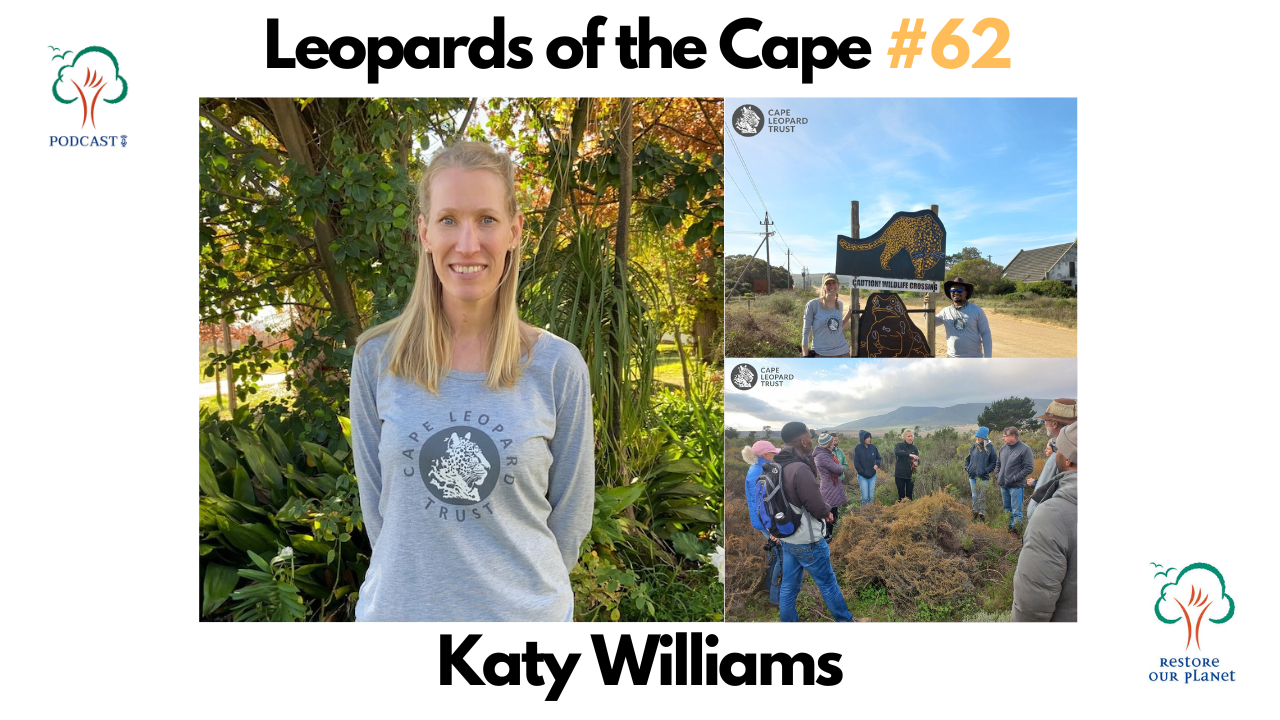 Restore Our Planet Podcast #62 Leopards of the Cape: Katy Williams