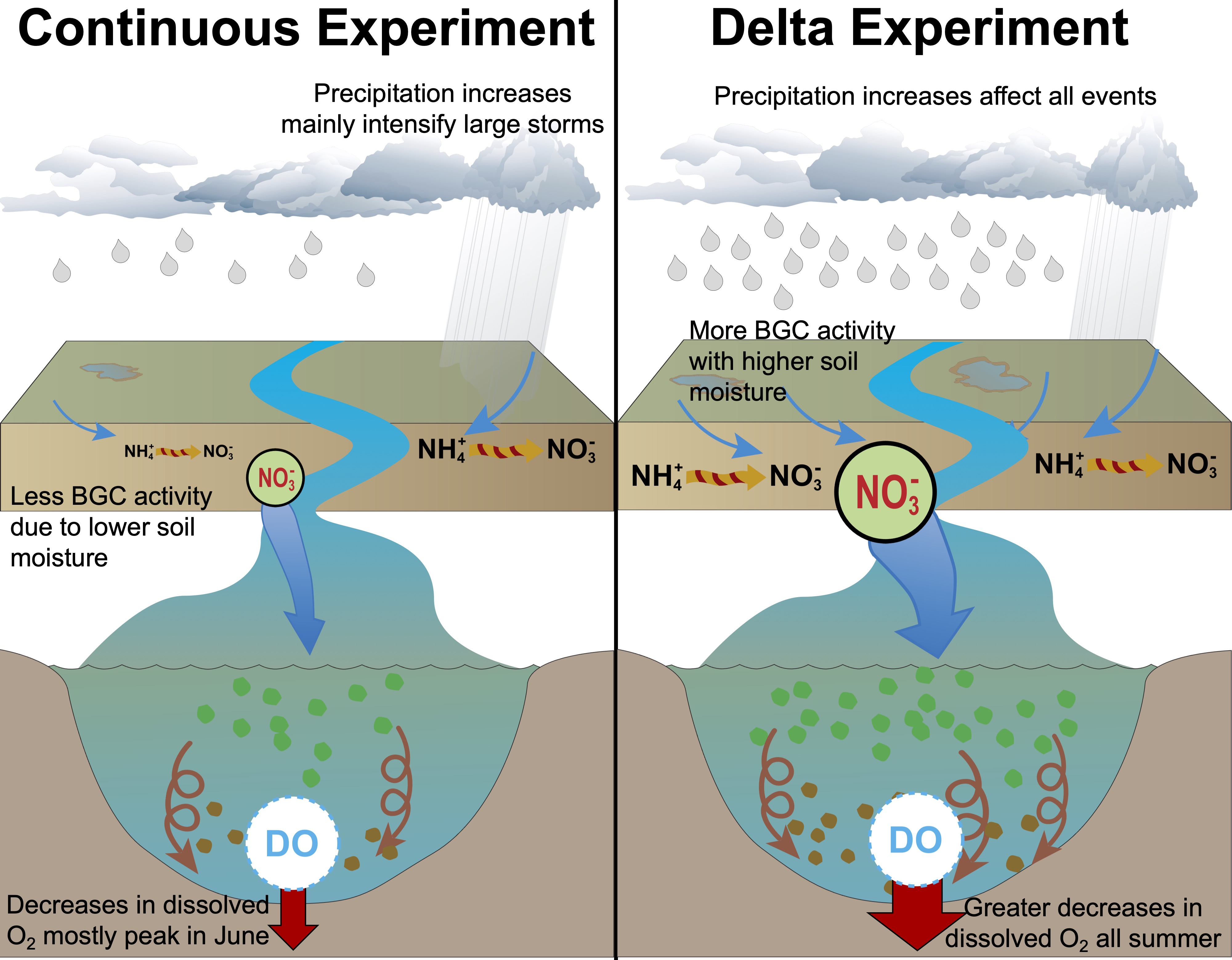 Uncertainties in Future Projections of Coastal Hypoxia