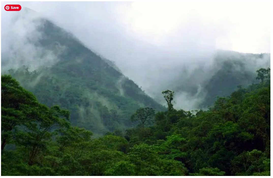 Spatial partitioning of terrestrial precipitation reveals varying dataset agreement across different environments