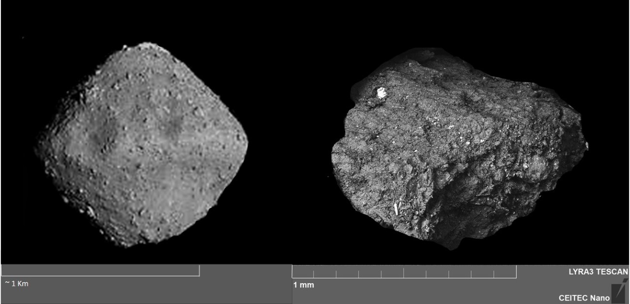 The evolution of organic material on Asteroid 162173 Ryugu and its delivery to Earth