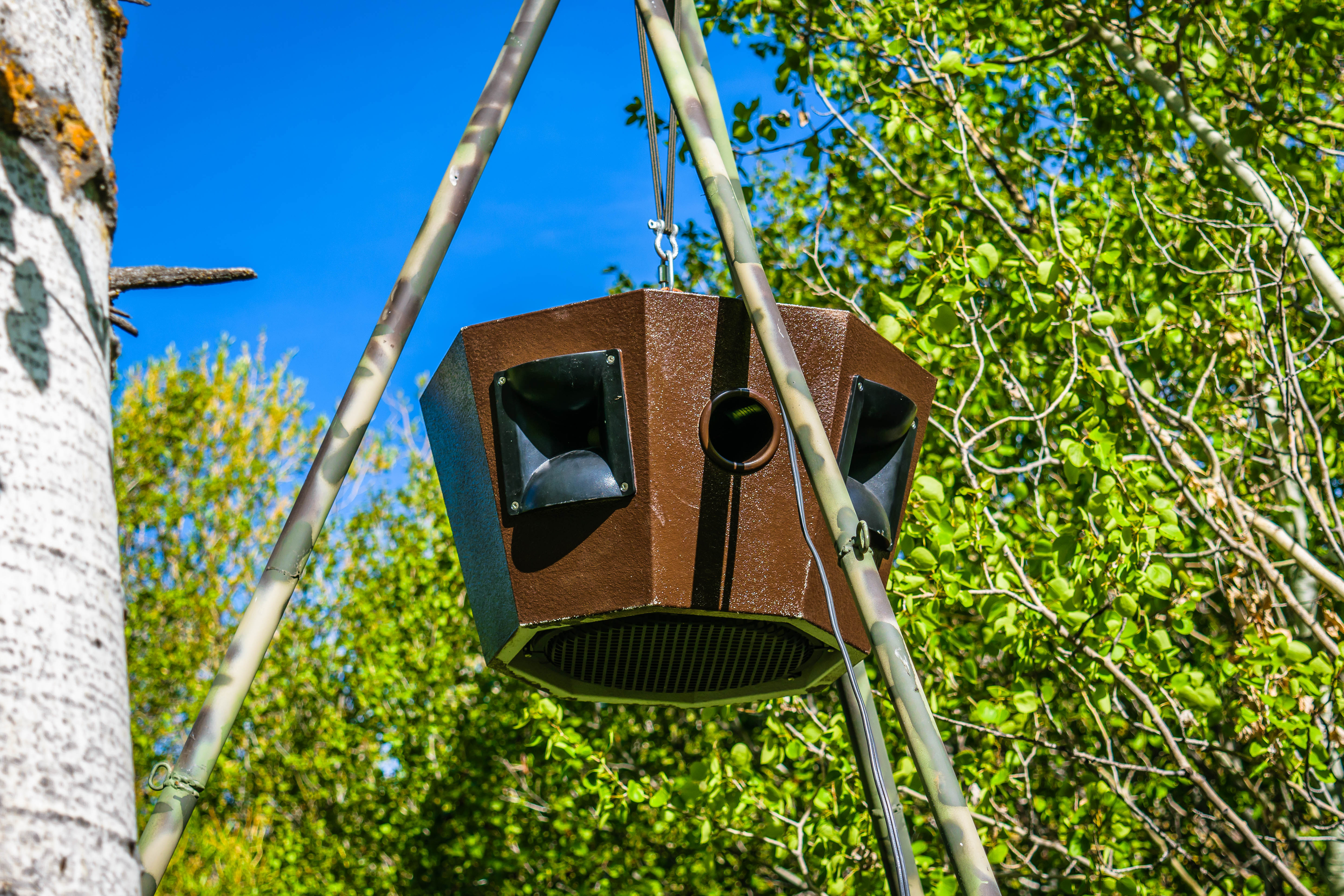 Experimental river noise alters bird and bat abundance and behavior across a landscape