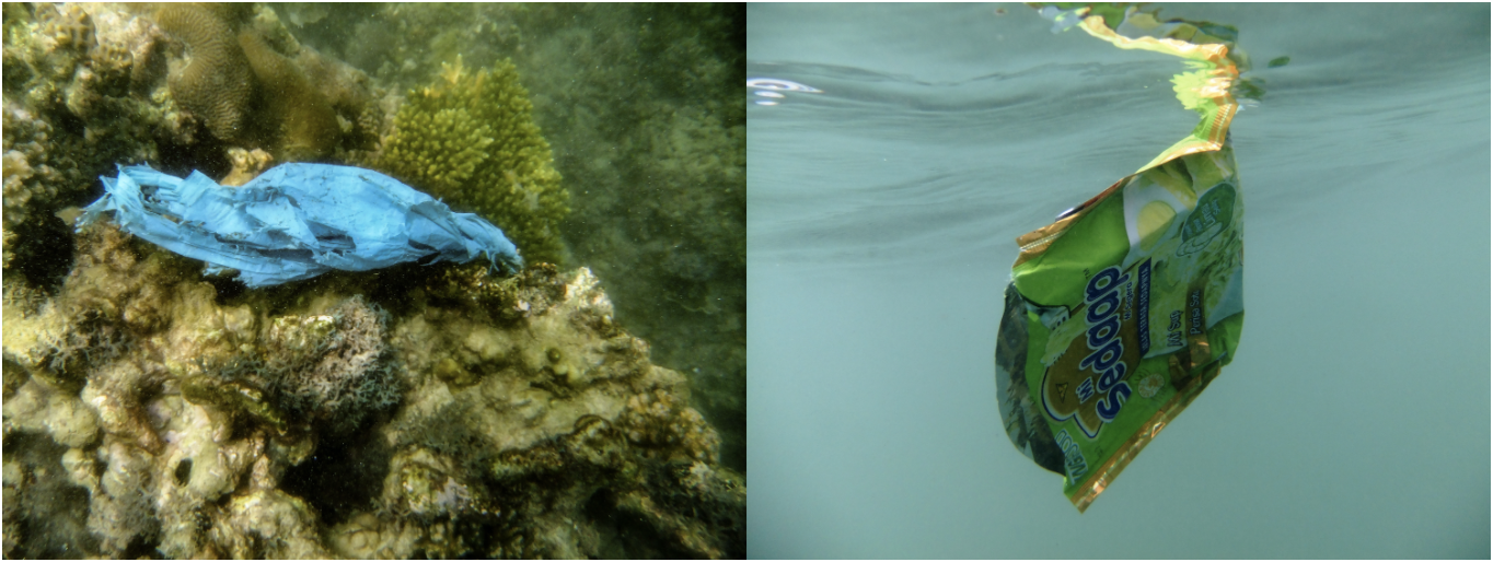 The bacterial colonisers of plastics – food or just a free ride?