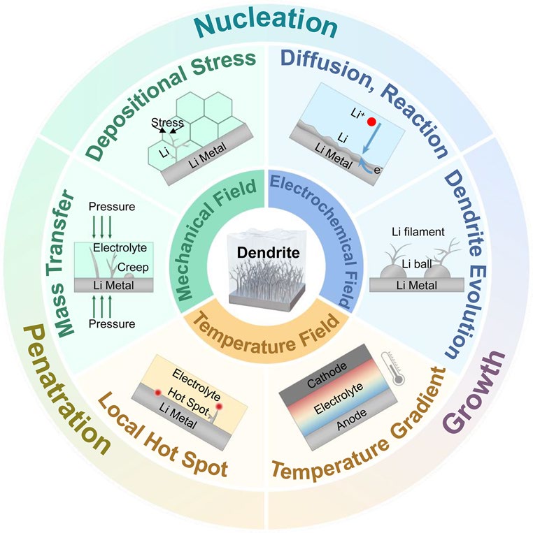 Multiphysics Modeling and Analysis for Dendrite Problems in Solid‑State Lithium/Sodium Metal Batteries