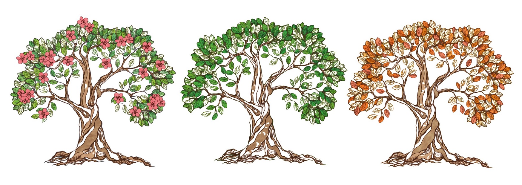 Unraveling the Mysteries of “Continuous increase in evaporative demand shortened the growing season of European ecosystems in the last decade”: A Journey into the Unknown
