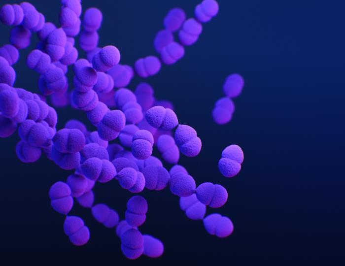 We’ve discovered how these deadly bacteria use a common sugar to spread through the body. It could help us stop them