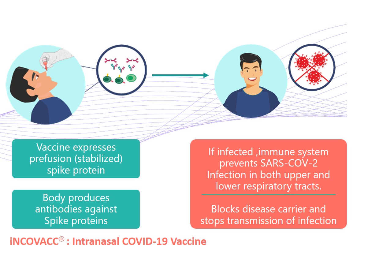 Phase III Pivotal comparative clinical trial of intranasal (iNCOVACC) and intramuscular COVID 19 vaccine (Covaxin®)