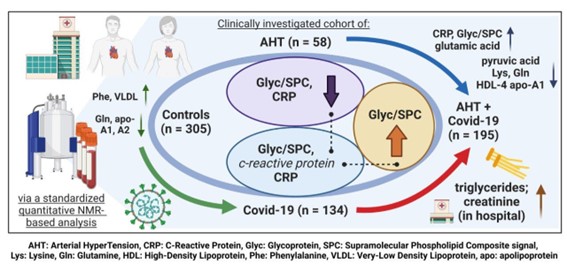 Nuclear magnetic resonance spectroscopy in medical research: Workflow and possibilities 