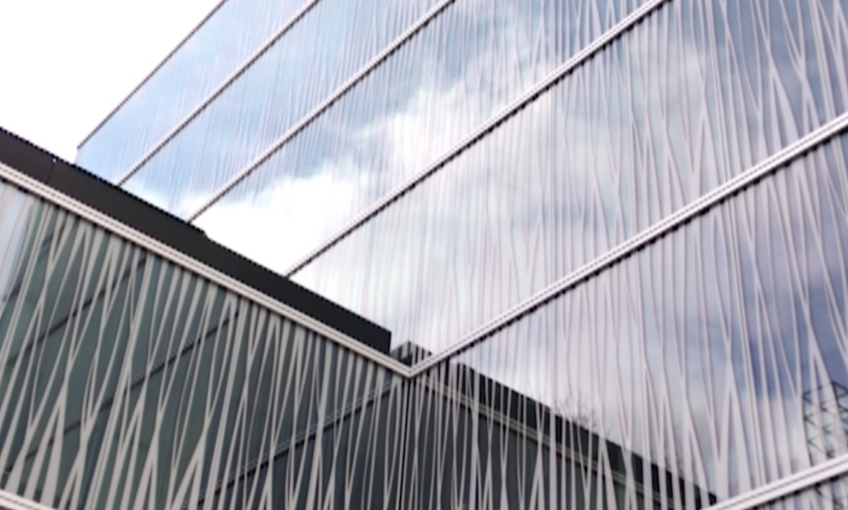 The Berlin Institute for Medical Systems Biology 