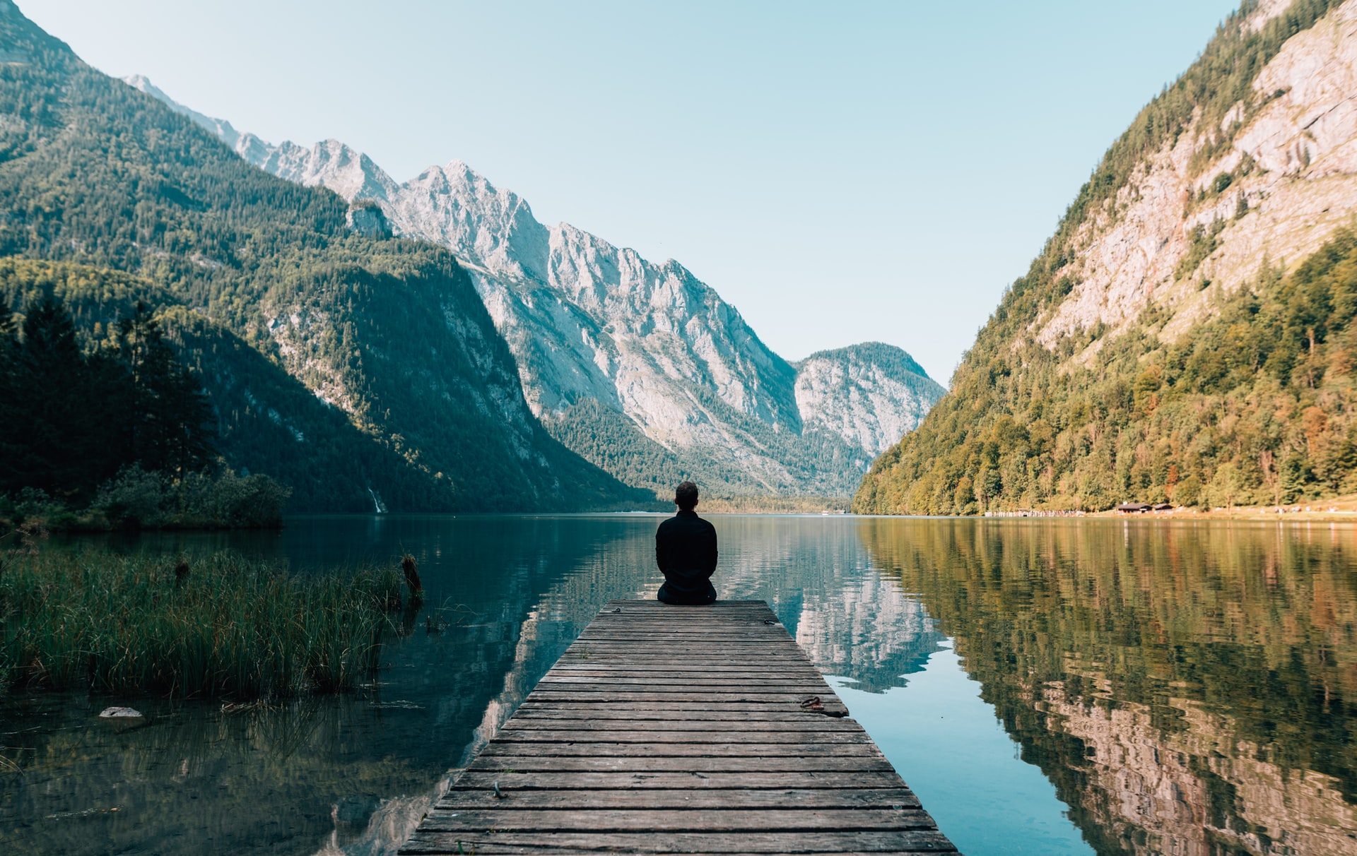 The mindful scientist