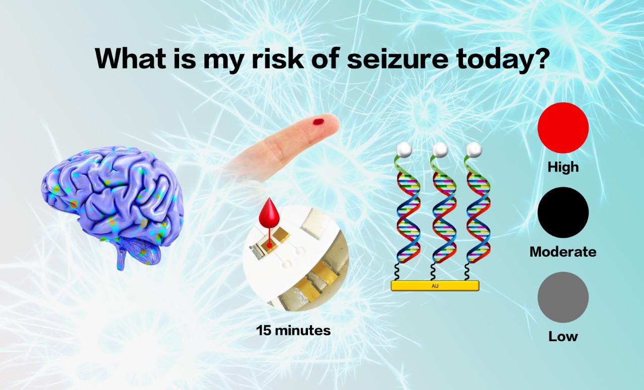Developing a seizure detection device