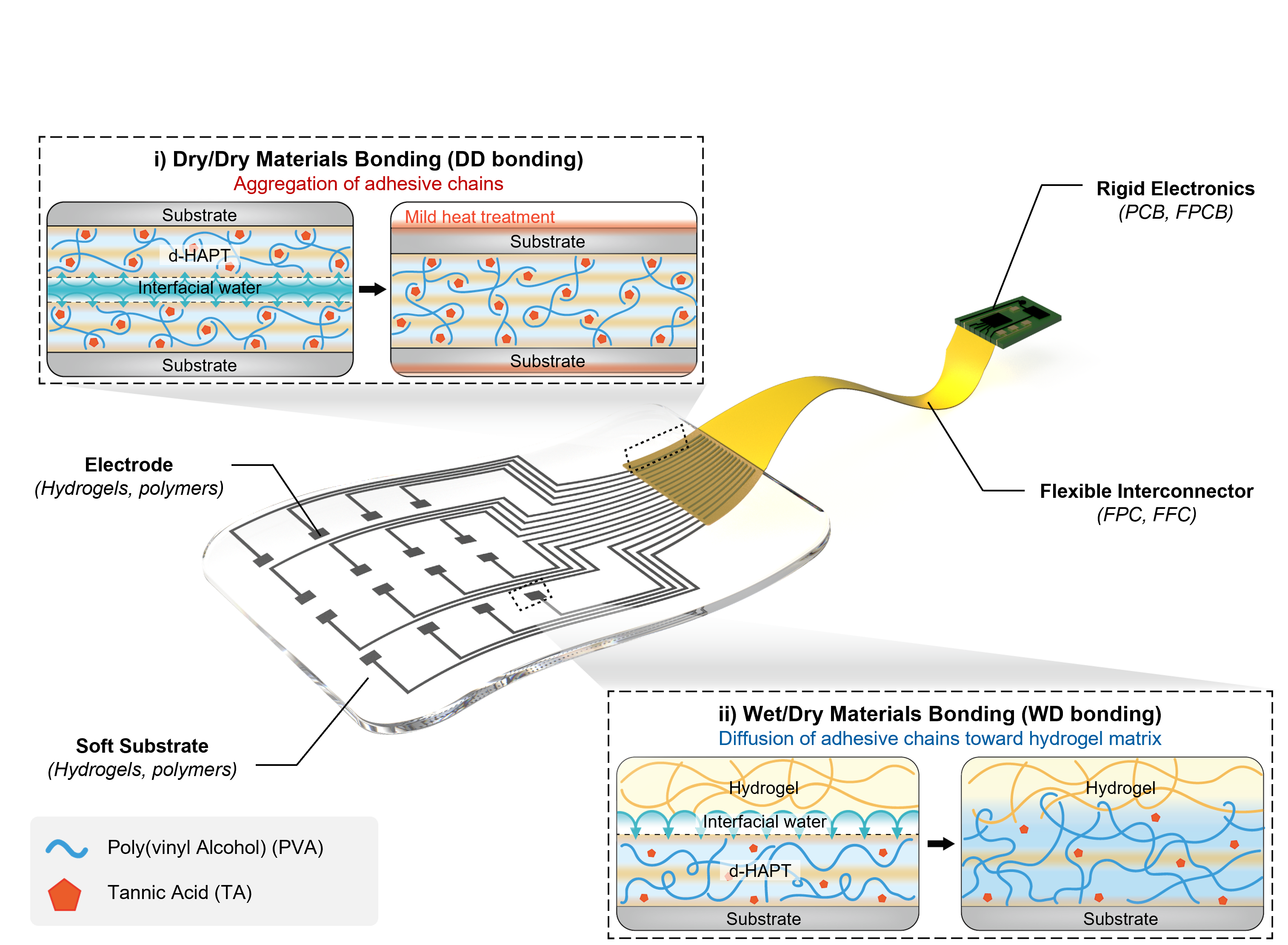 Innovative Hydrogel Adhesives for Seamless Integration of Soft Electronic Devices