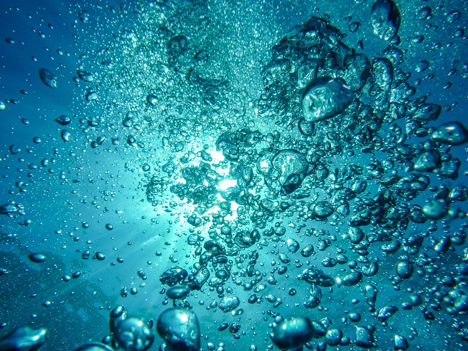Eavesdropping on the secret lives of lake microbes 