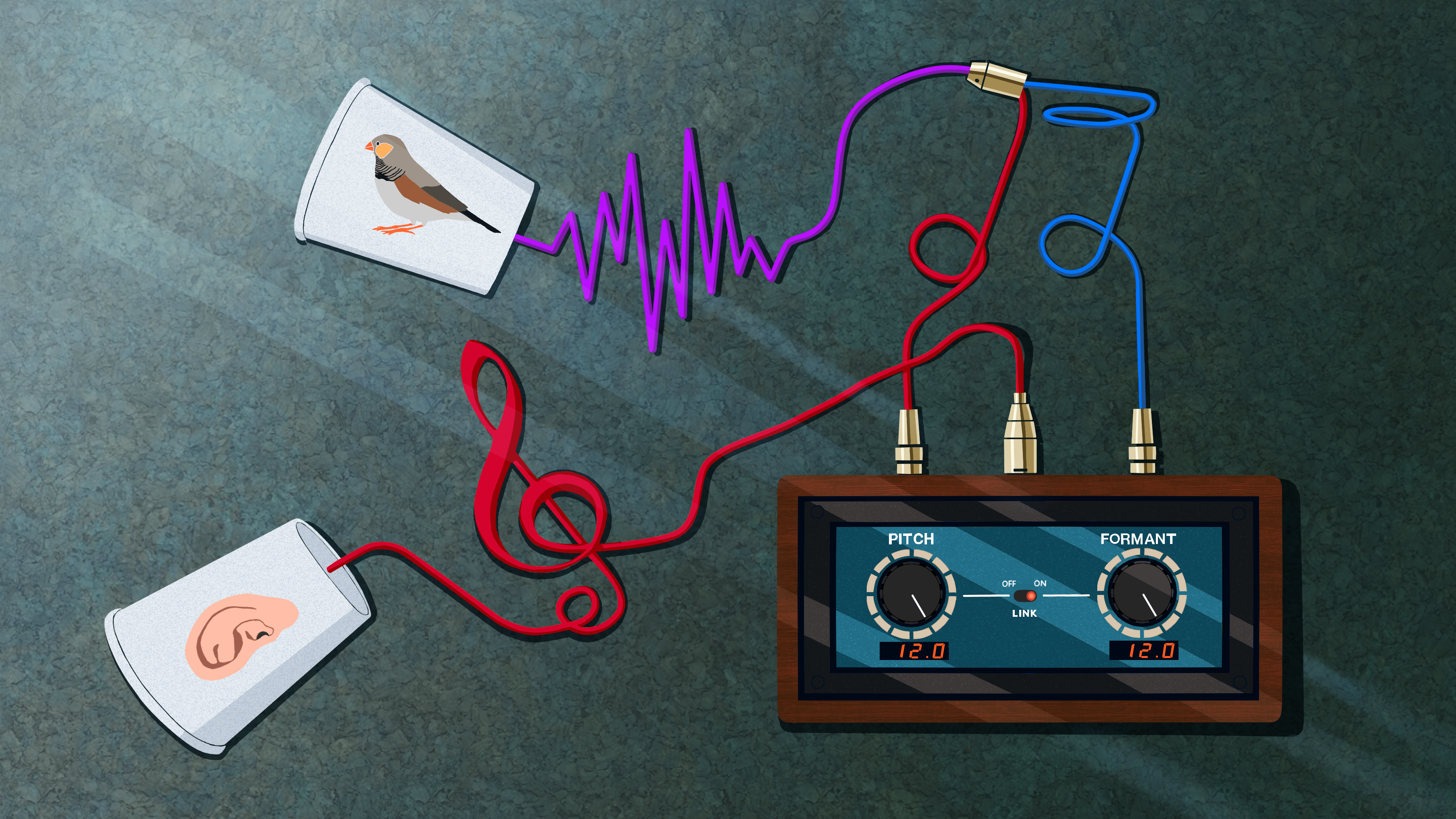 An ongoing marathon—tracing a continuing quest to understand the building blocks of musicality