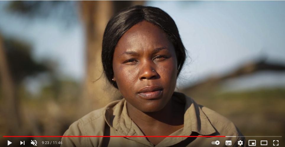 One woman's remarkable journey to protect lions