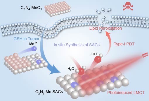 Tumor-activated in situ synthesis of single-atom catalysts for O2-independent photodynamic therapy based on water-splitting