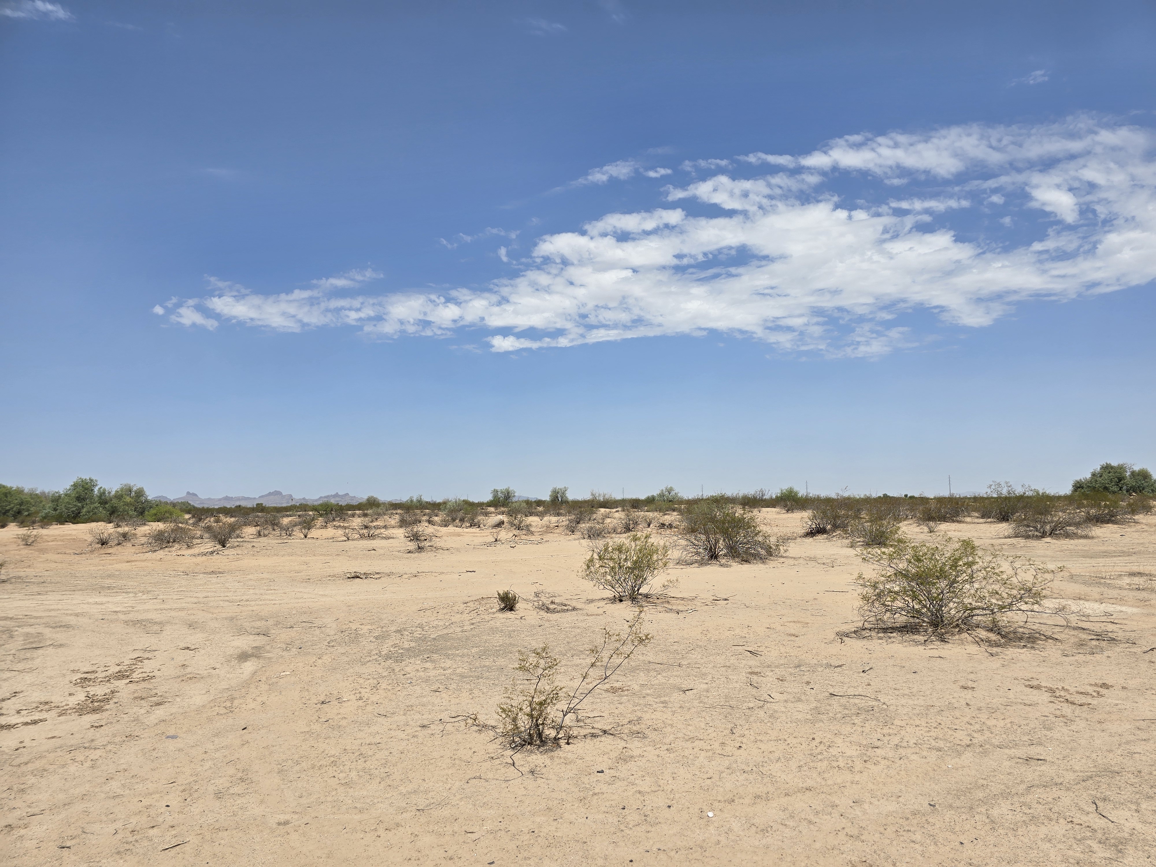 LiA Reflection Week 3: Darkness and Hope in the Borderlands 