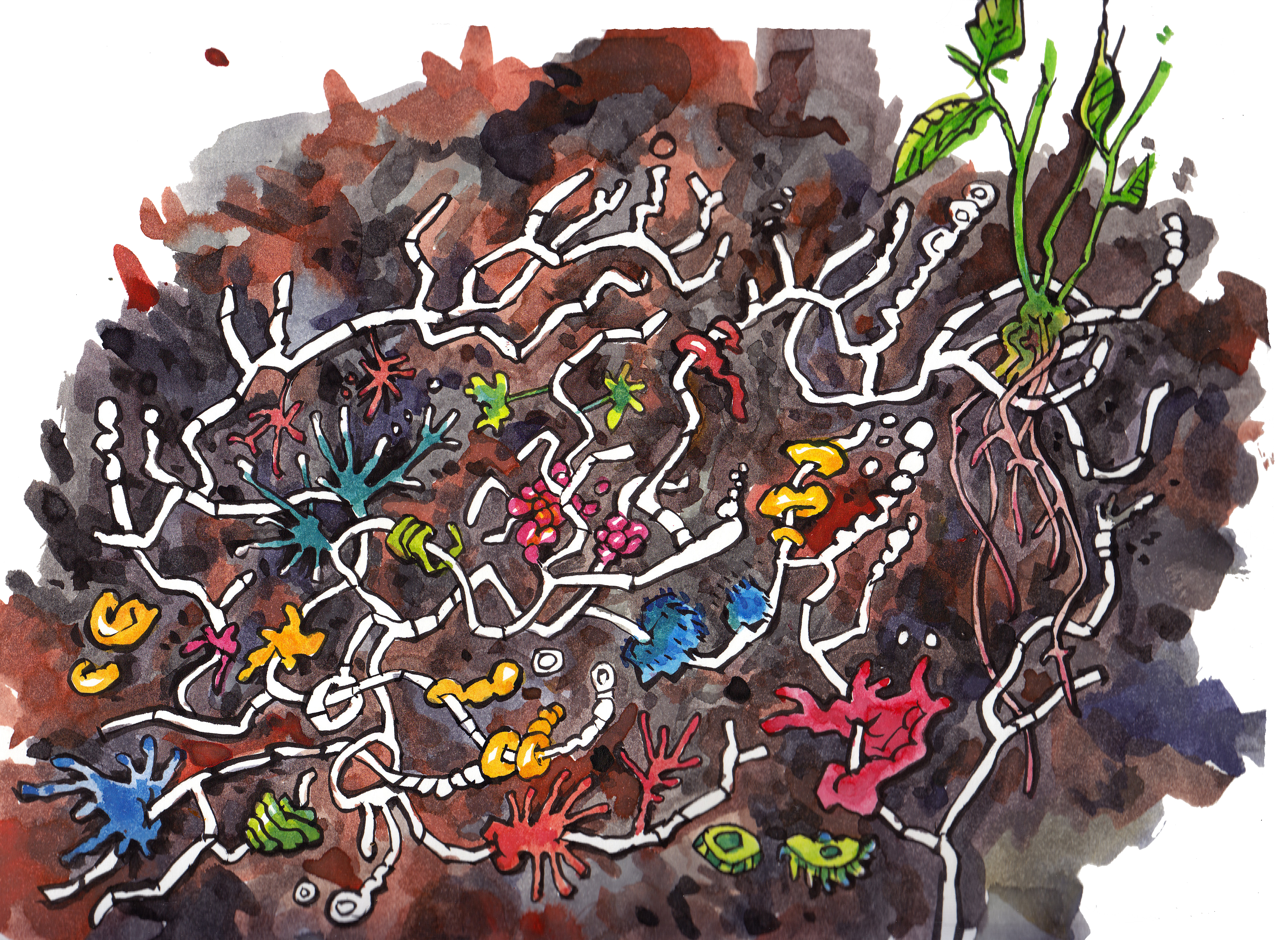 Streptomyces airborne defense 