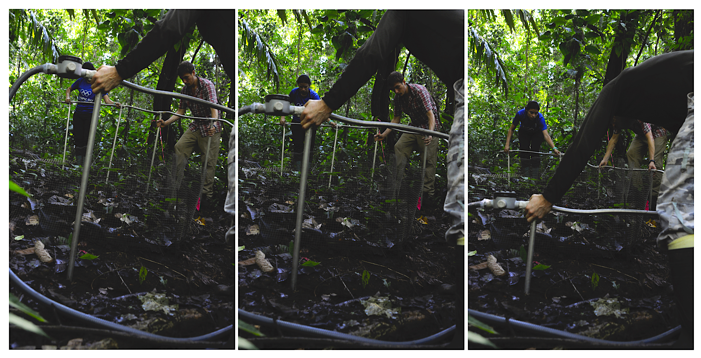 Warming threatens tropical soil microbial diversity