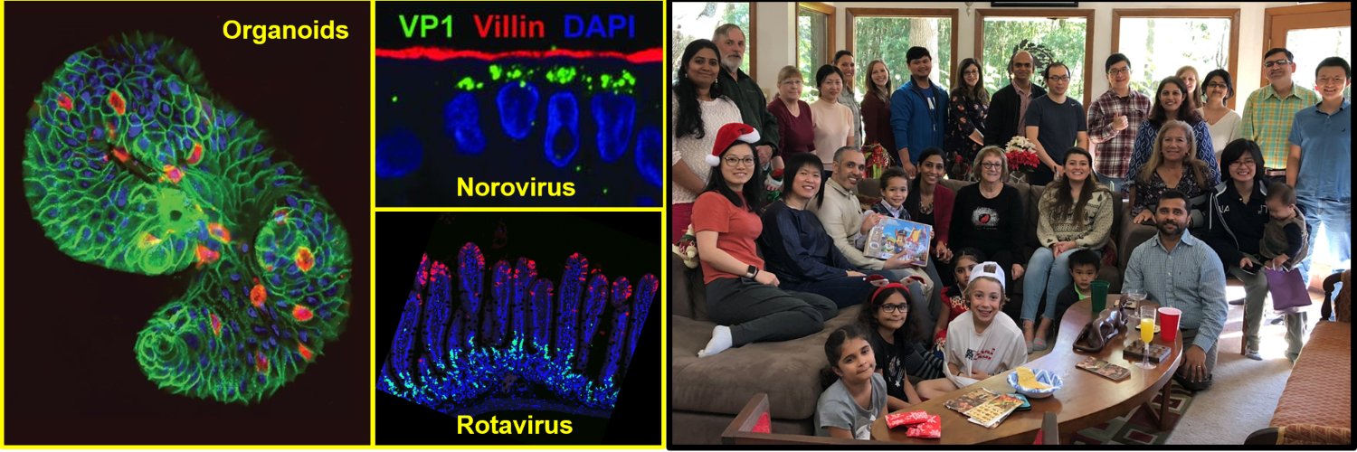 Generation of CRISPR/Cas9-mediated genetic knockout human intestinal tissue-derived enteroid lines by lentivirus transduction and single cell cloning
