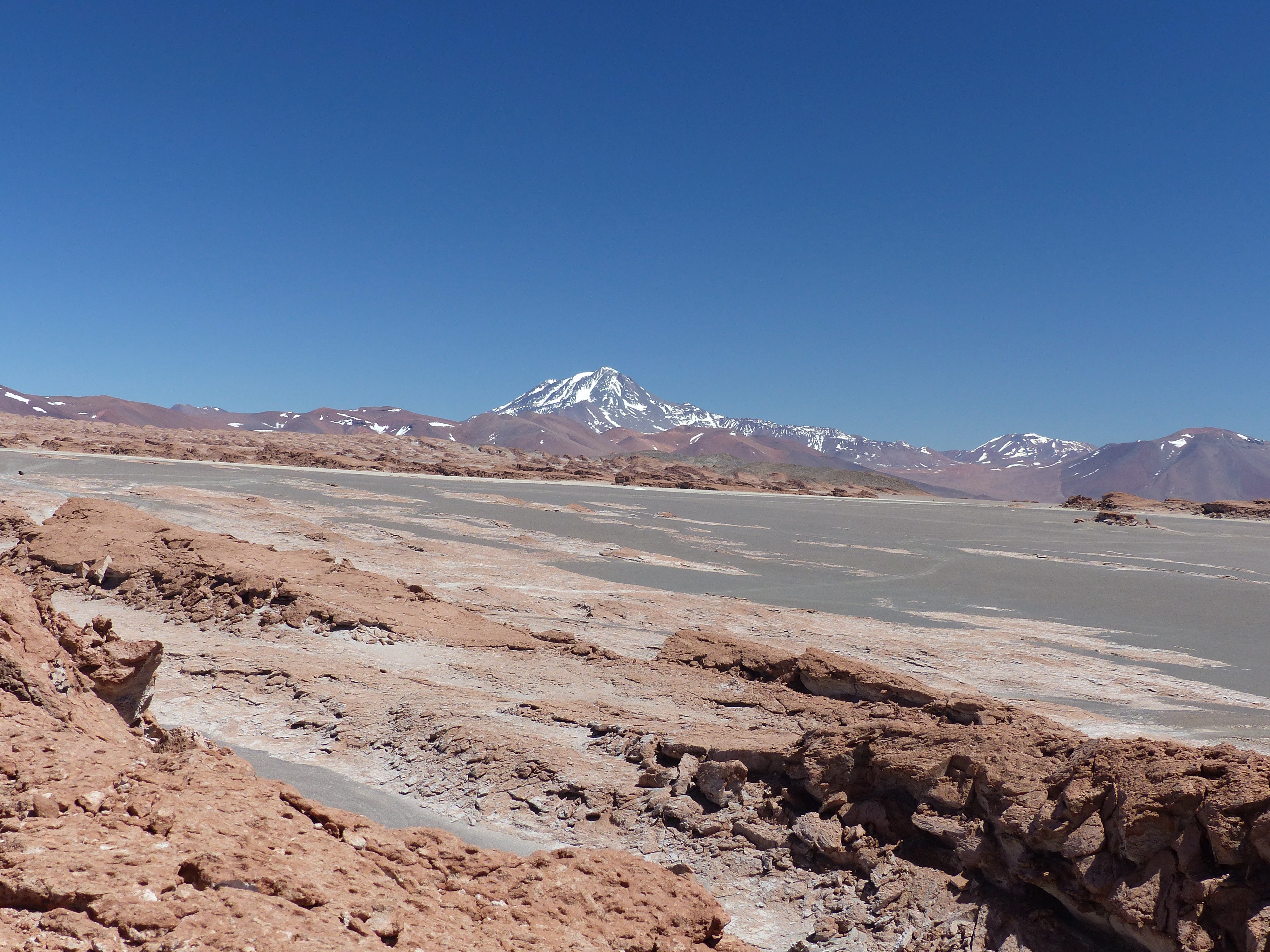 Steady-state vs. flare-up magmatism revealed by magmatic addition rates in the Central Andean arc