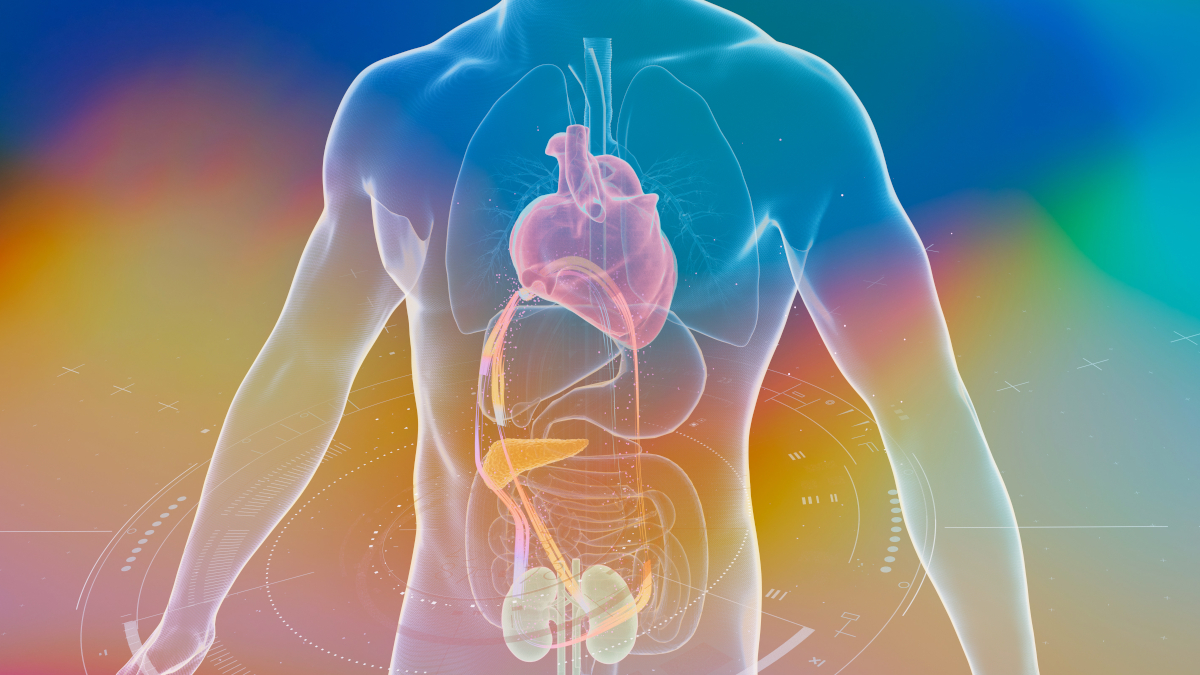 Call for papers: Understanding, preventing, diagnosing and treating cardiometabolic disease
