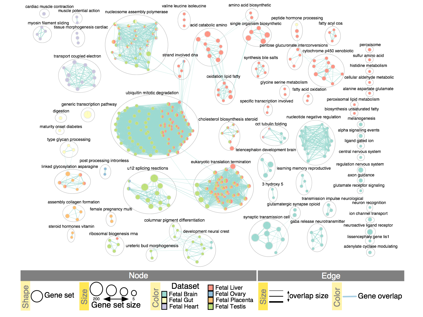 Pathway Analysis of Genomics Data using Cytoscape, g:Profiler, GSEA and Enrichment Map