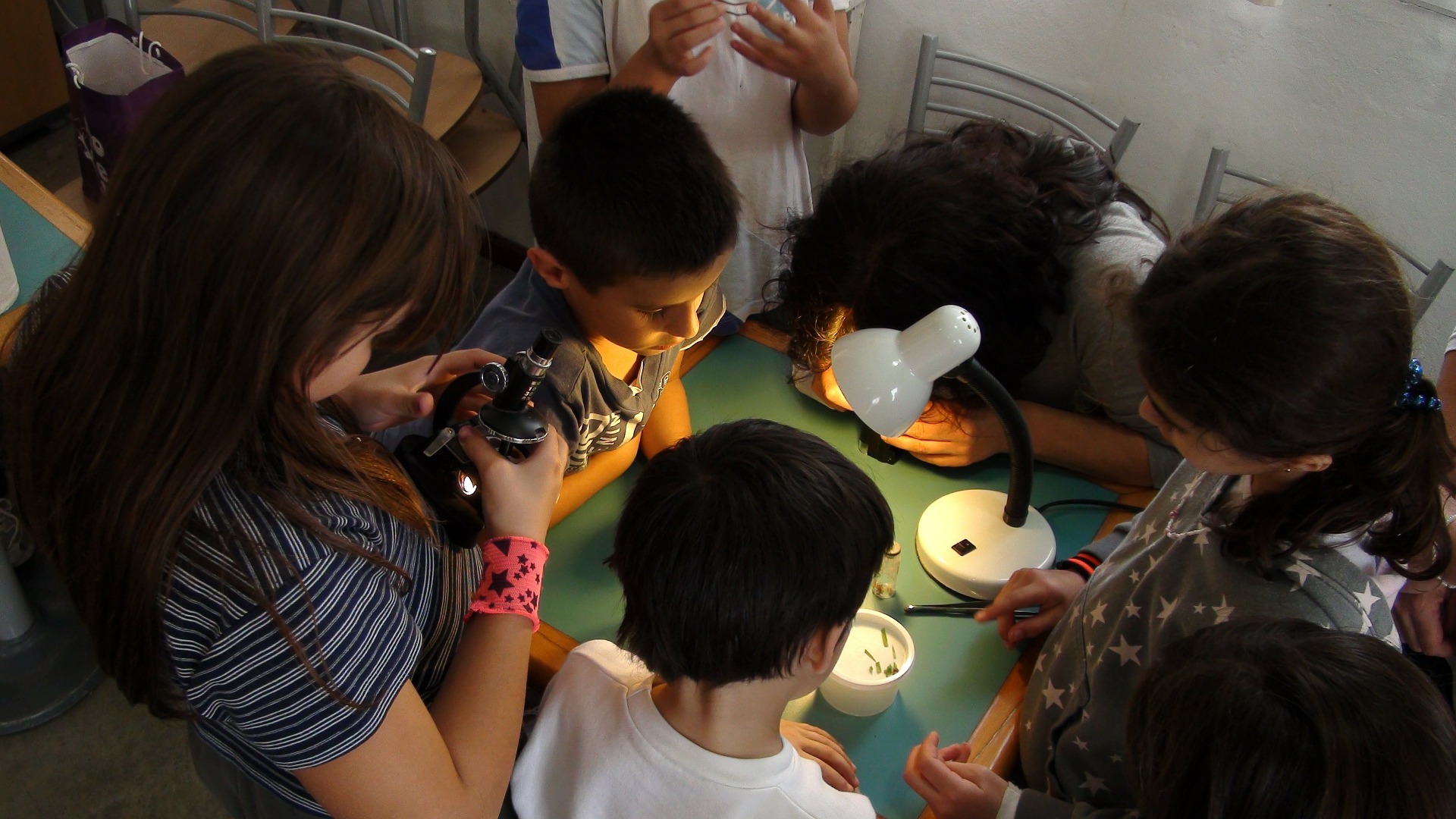 Project Based Learning