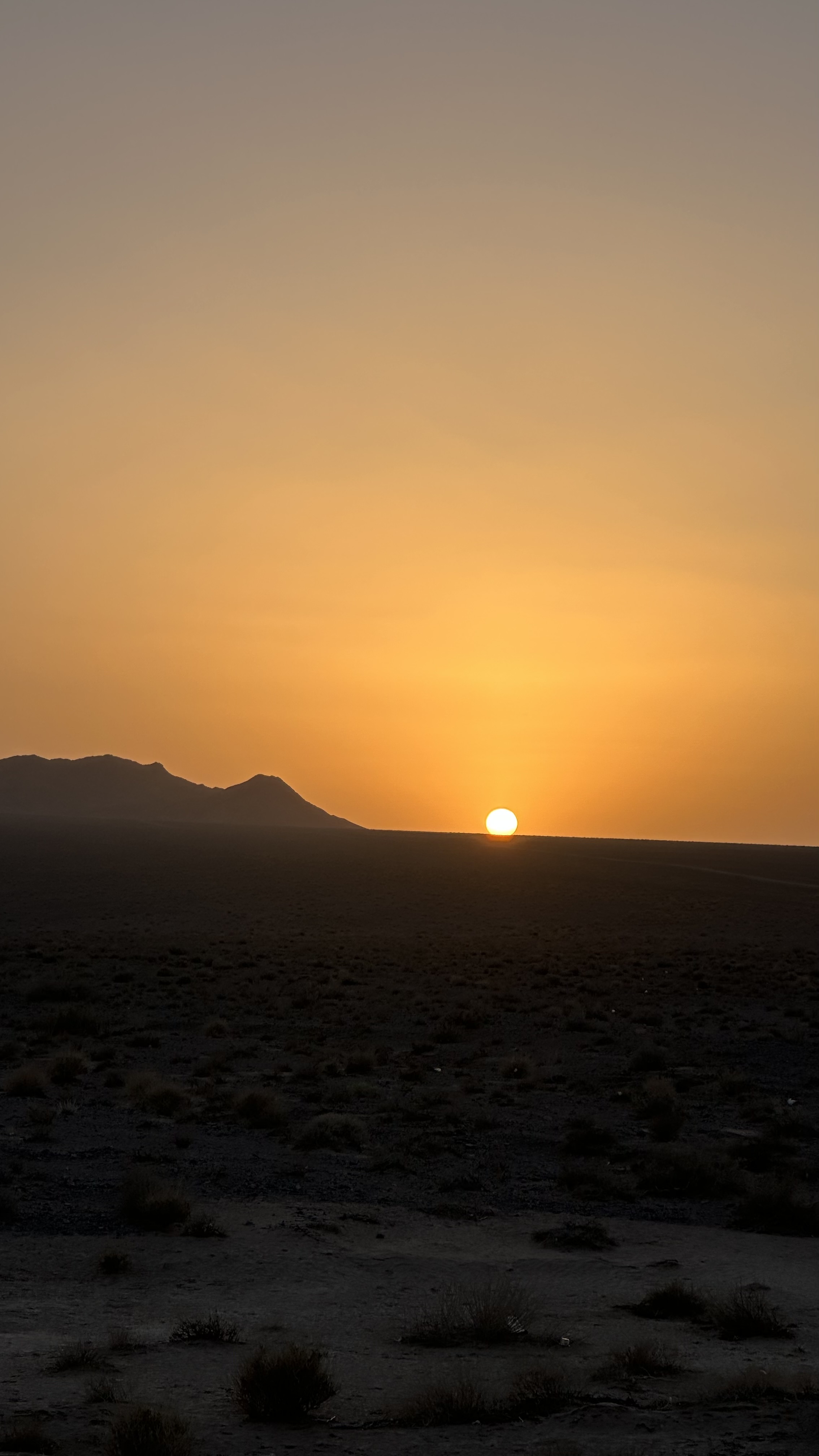 A Reminder from Iran: When Conservation Becomes Too Dependent on Digital Connectivity