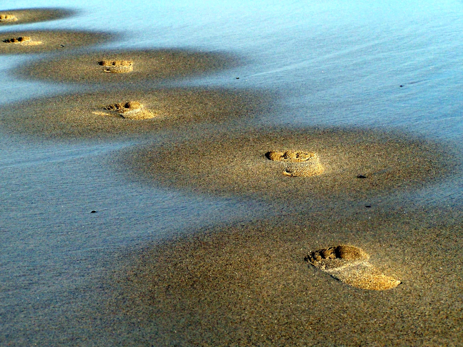 An Entrepreneur's Journey