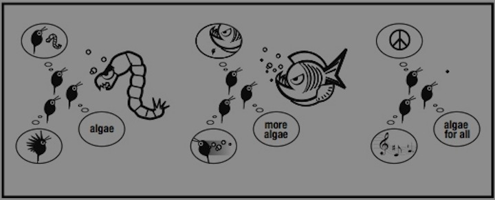 The ecology and evolution of fear: predation and local adaptation of phenotypic plasticity