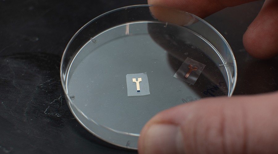 Implantable semiconducting polymers with low foreign-body response