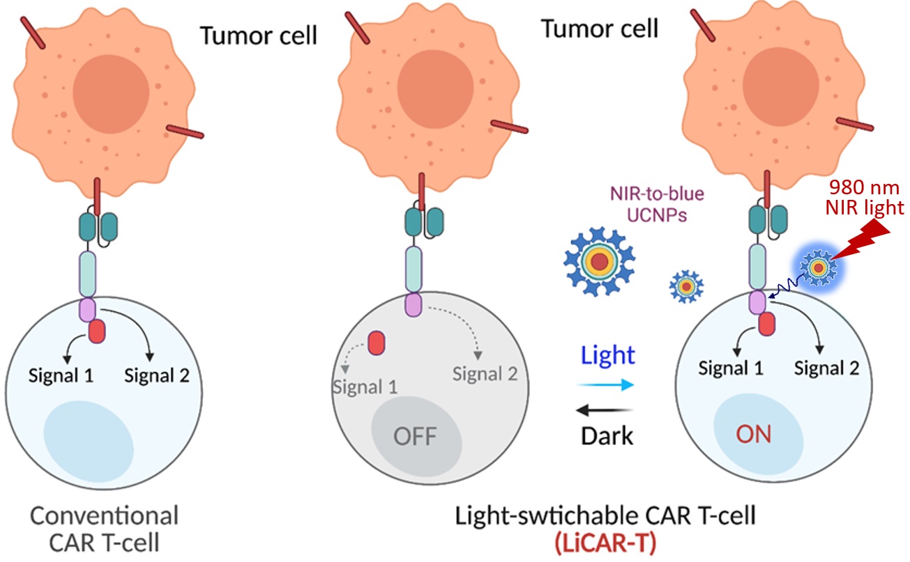 A novel nano-optogenetic approach for precision immunotherapy