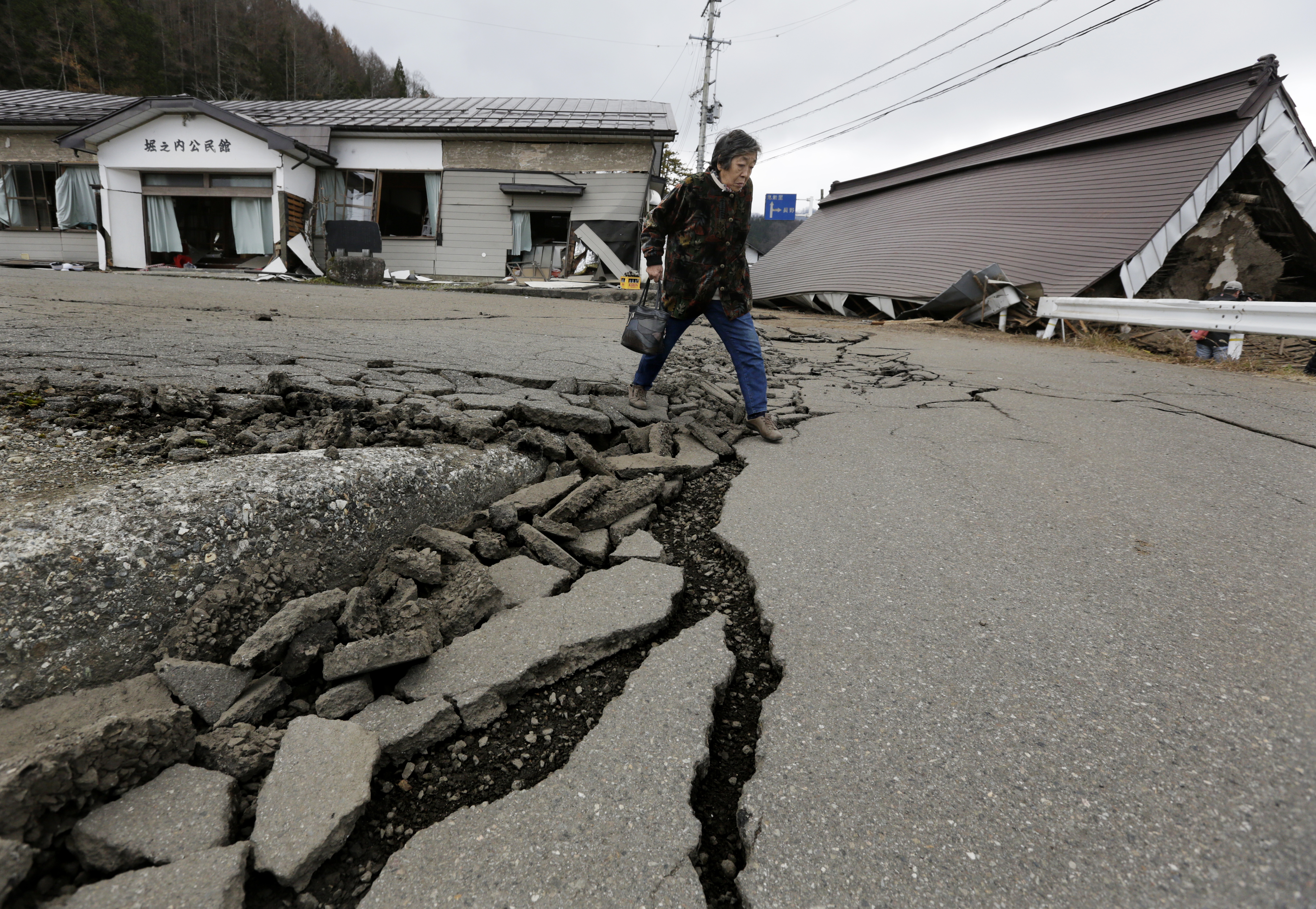 Turning Noise into Knowledge: Tracing Fault Damage After the 2014 Nagano Earthquake