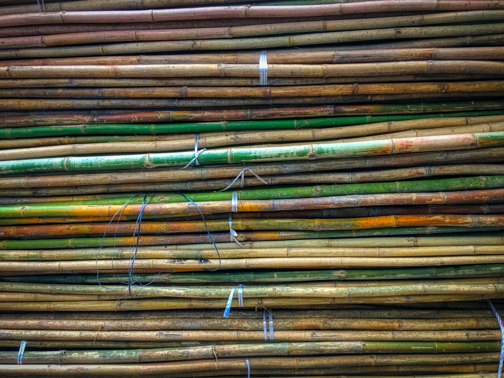 The Great Plastic Remake – Bioplastics