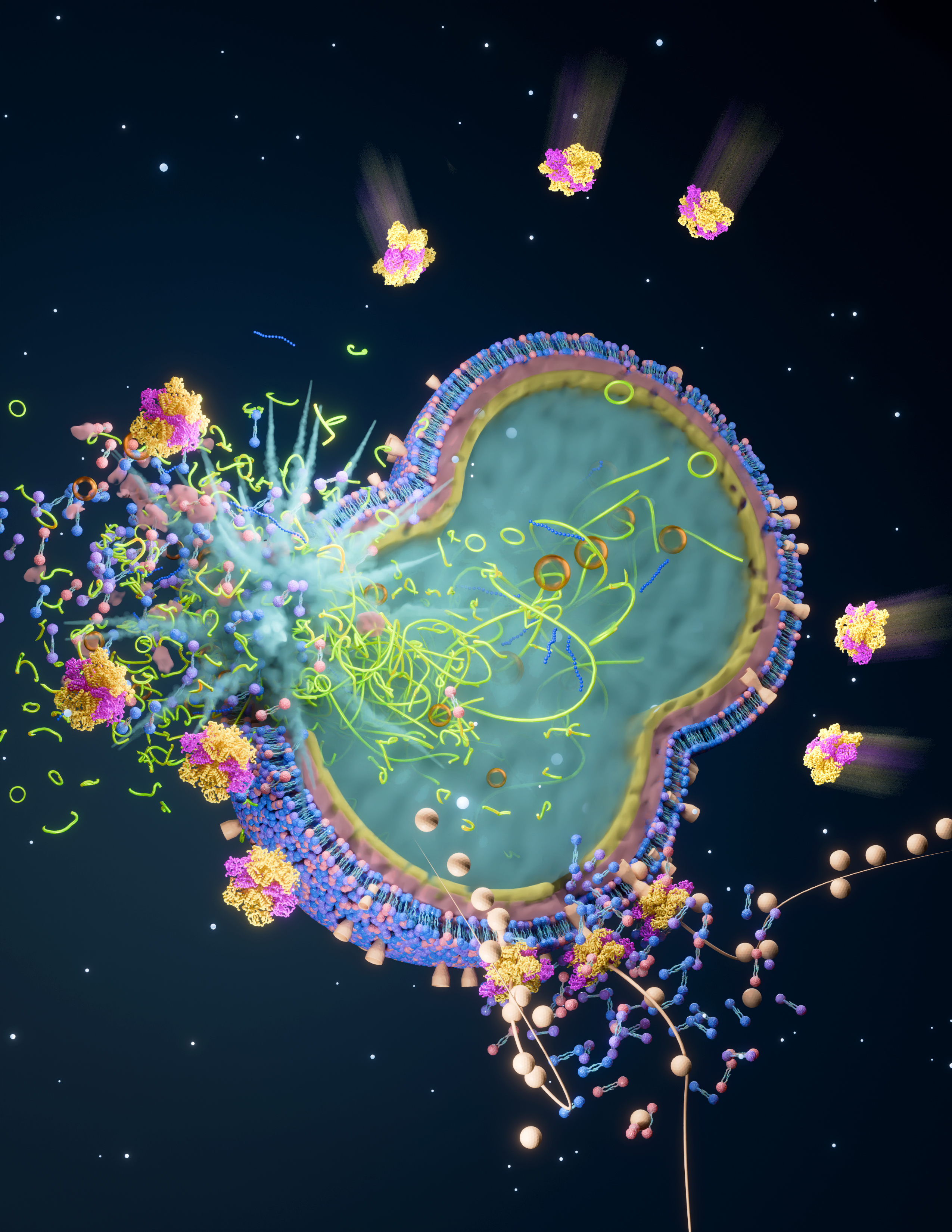 Ripping Pathogens to Shreds: How a Cellular Nanomachine Punches a Lethal Blow to Bugs