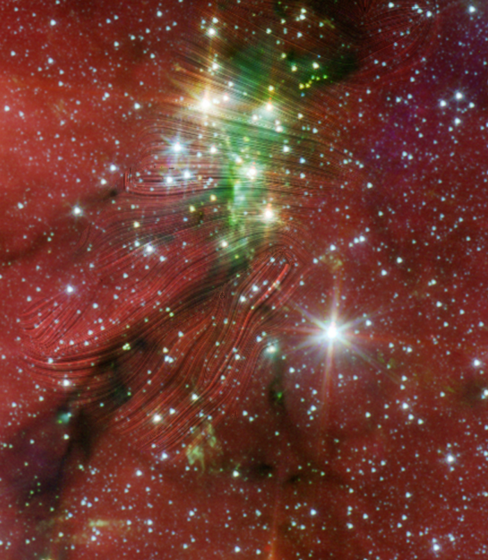 Magnetized gas flows feeding a young cluster at the heart of a filamentary network