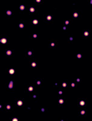 Mass photometry-a tool for detecting and quantifying nanoscale protein phase separation