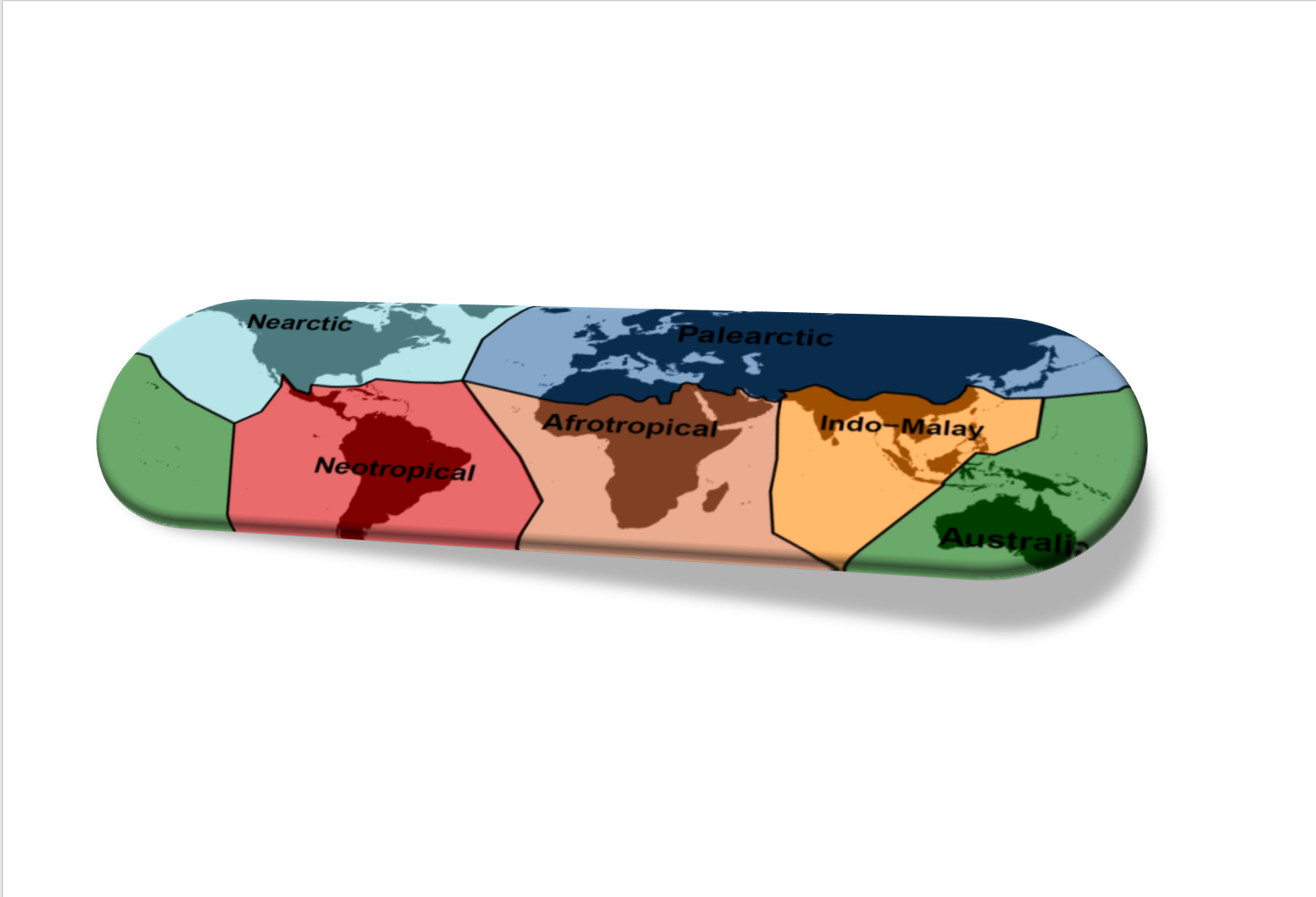 The functional consequences of the loss of threatened species across the world