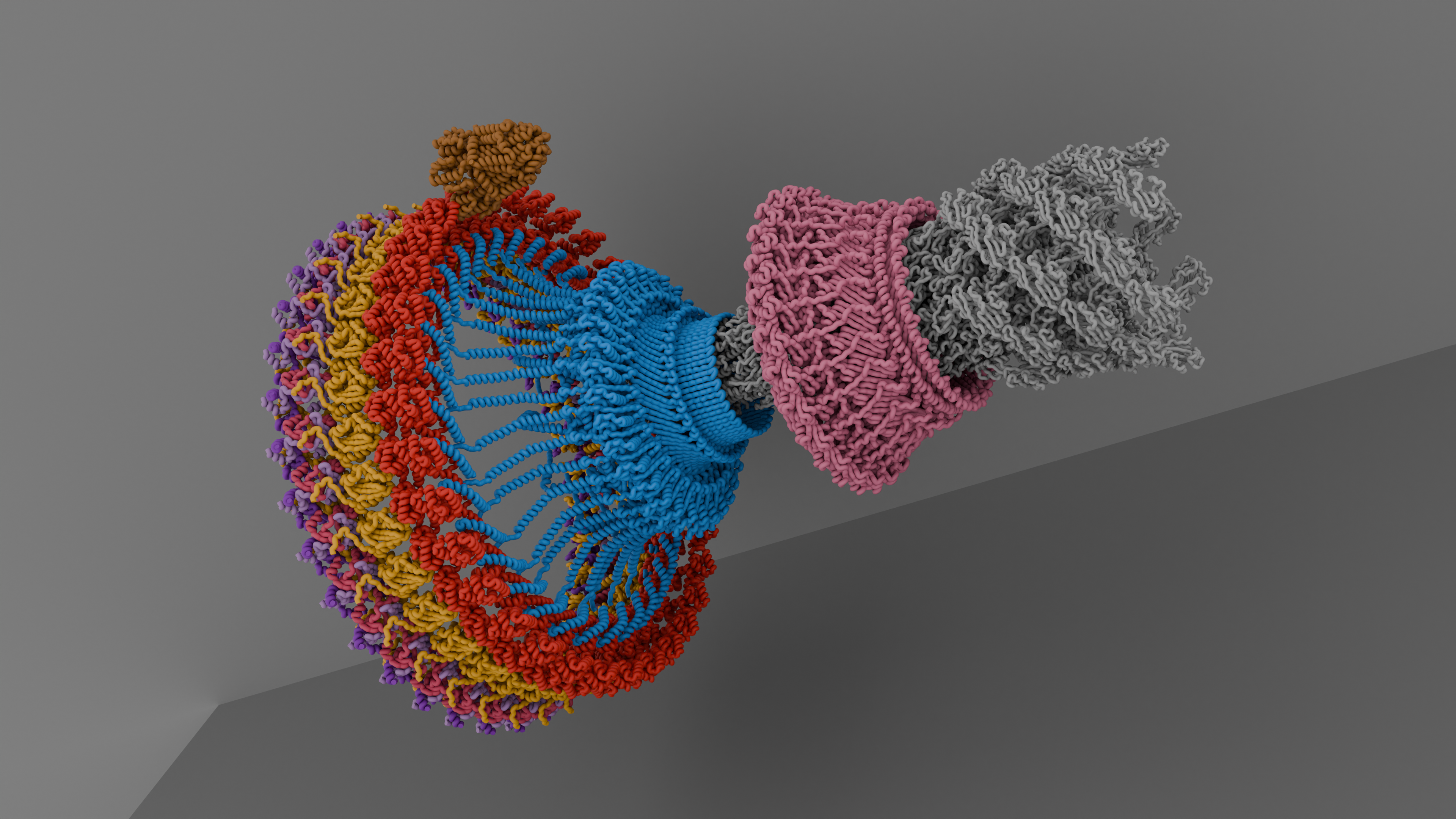 A Leap from Bioenergetics to Chemotaxis