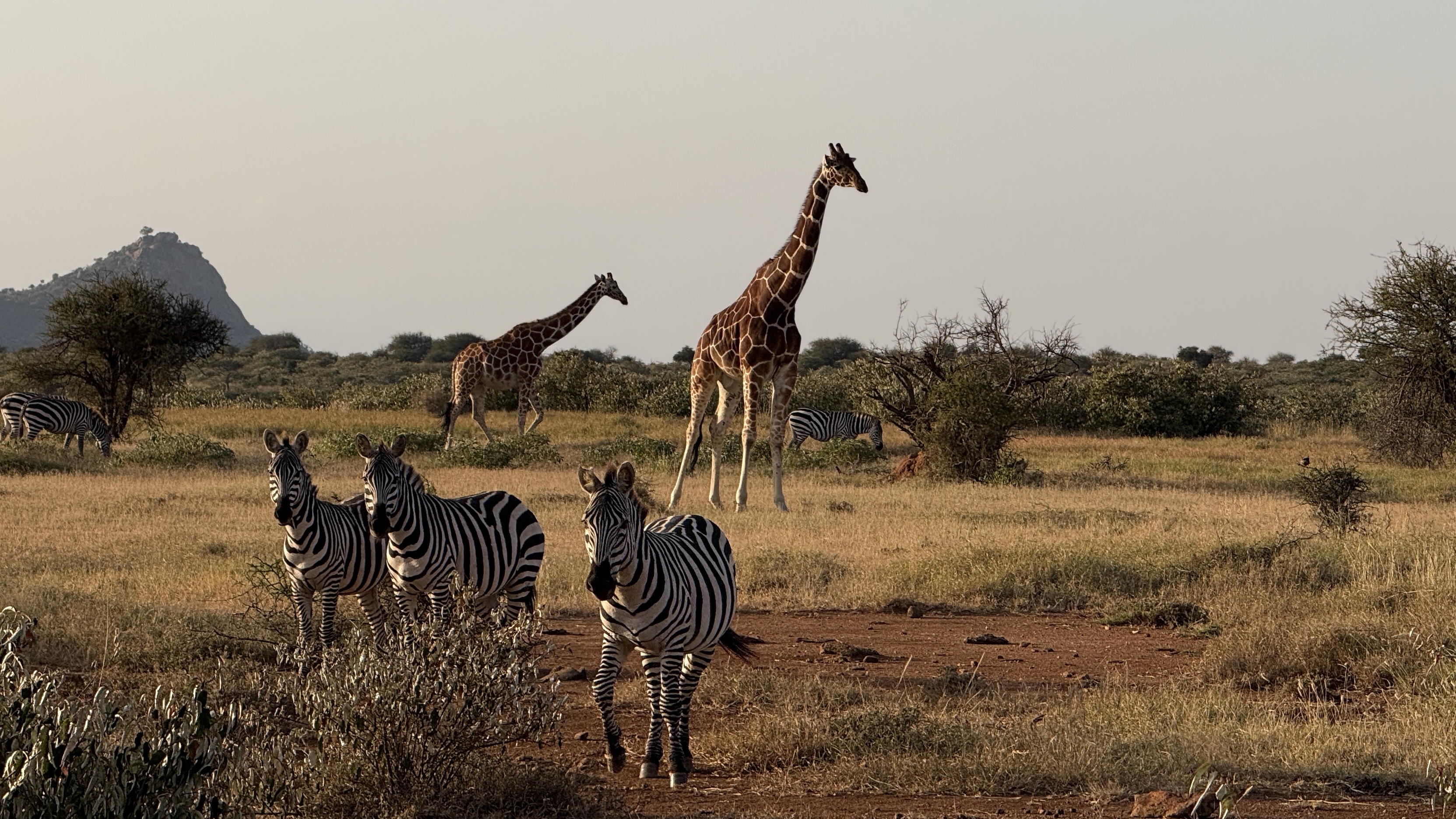 People and Landscapes: First Impressions from Mpala Research Centre, Kenya