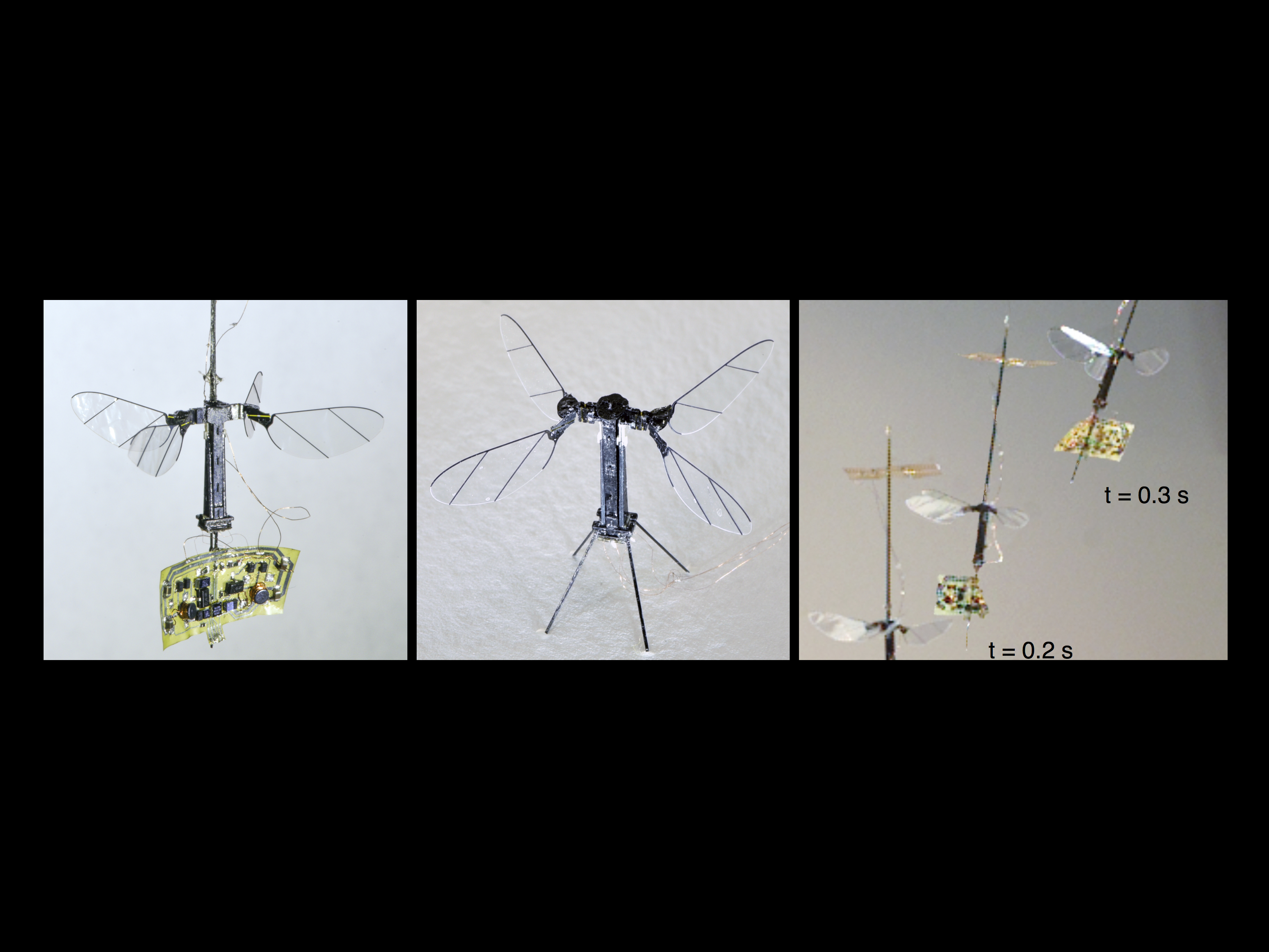 Untethered flight of an insect-sized flapping-wing microscale aerial vehicle