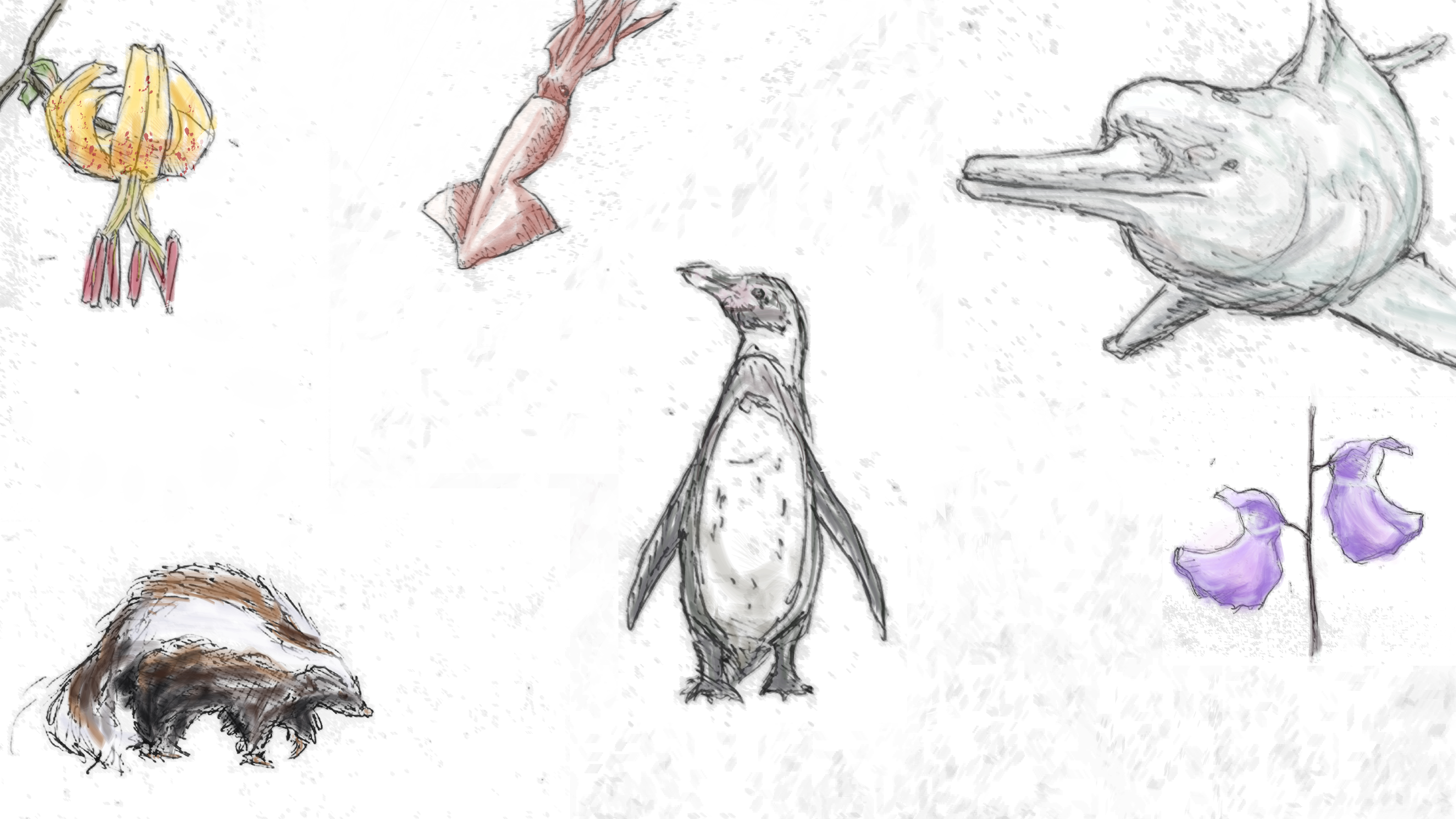 Humboldt, Darwin and the importance of little things