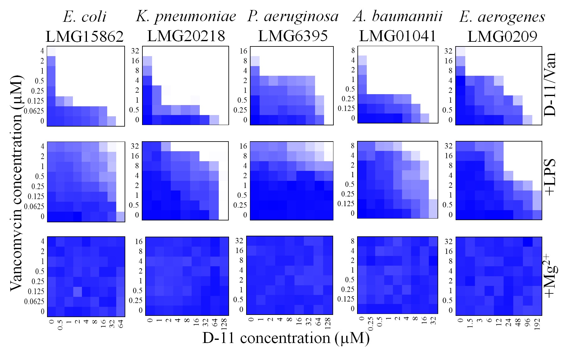 Breaking the wall: when small peptides are stronger than big ice-dragons.