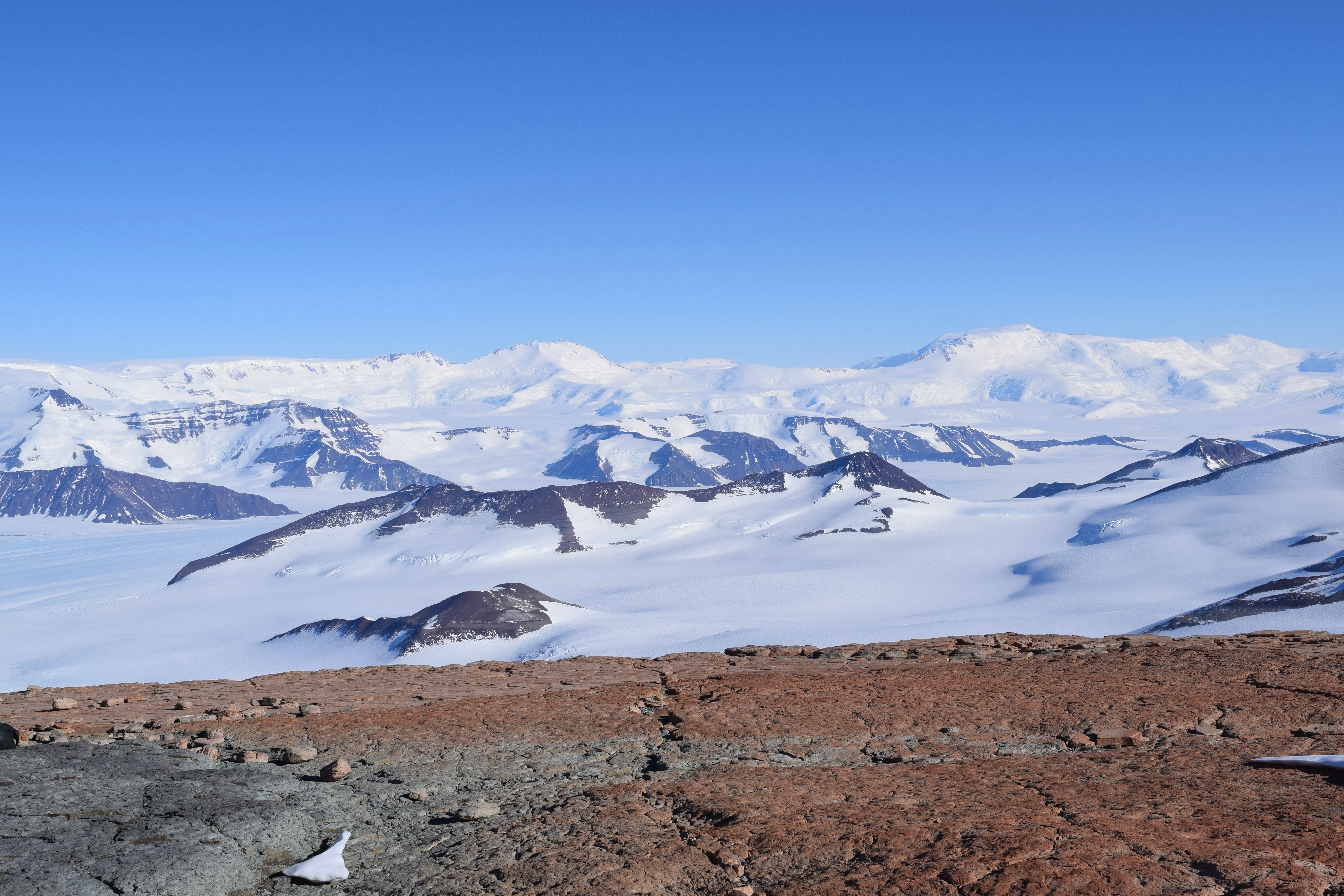 Evidence of ancient hibernation Antarctica